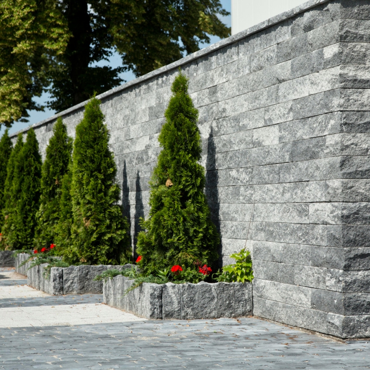 palissade granit -bordure-parterre-surélevé-thuya