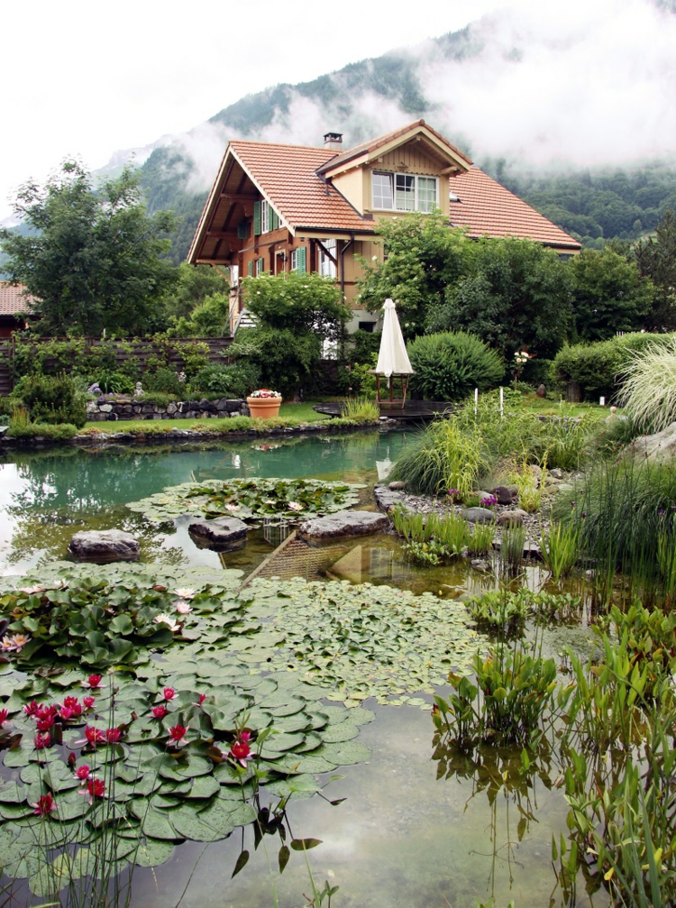 piscine-naturelle-plantes-aquatiques-nénuphars-rose-vif-maison