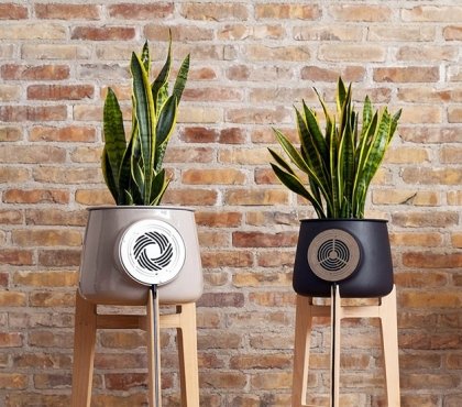 purificateur d'air plante-hybride-technologie-nature-pot-design