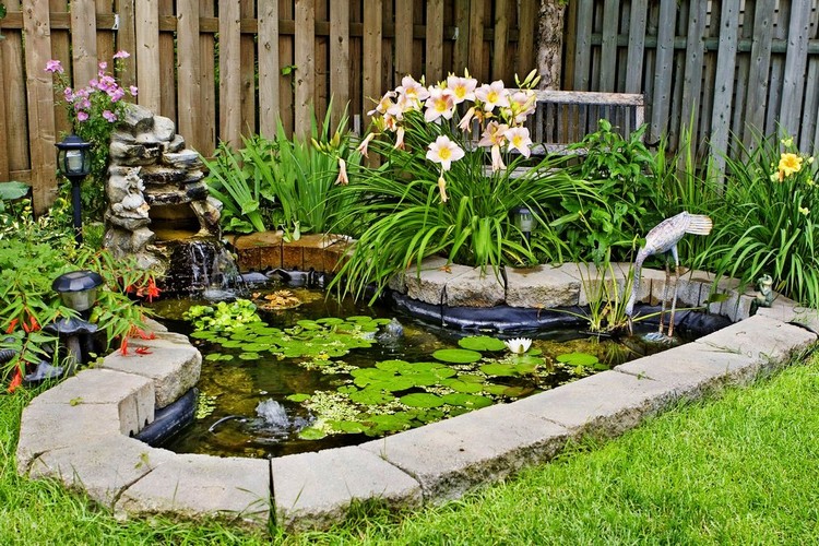 aménager un petit jardin bassin-aquatique-forme-irrégulière