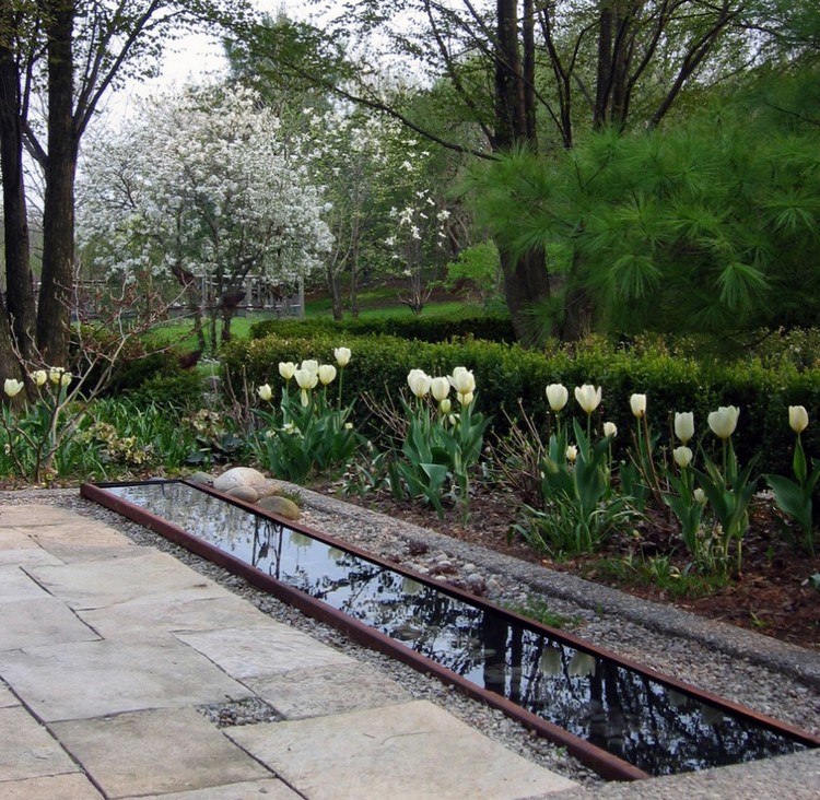bassin de jardin -eau-stagnante-acier-corten-tulipes