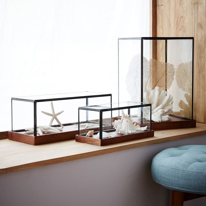boîte vitrine -moderne-design-rectangulaire-base-bois-composition-coquillages