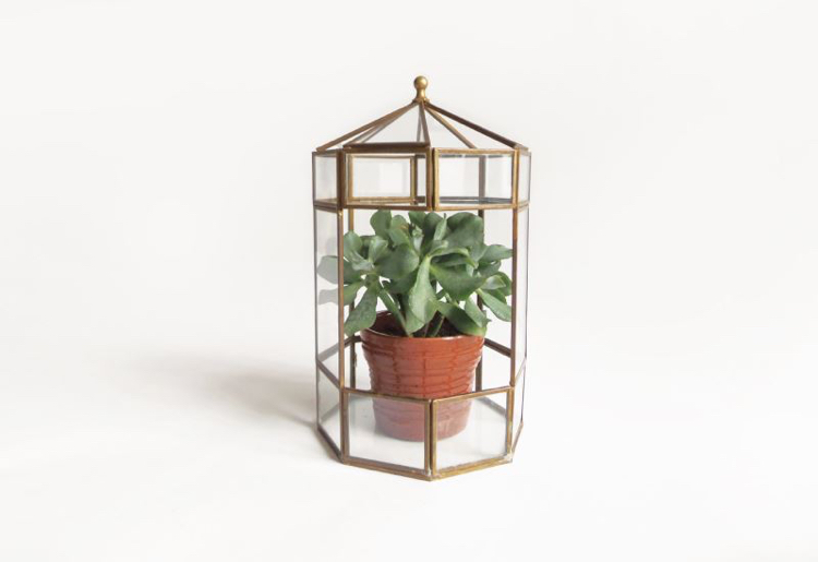 boîte vitrine -terrarium-design-vintage-verre-métal-Etsy-Moineau 1