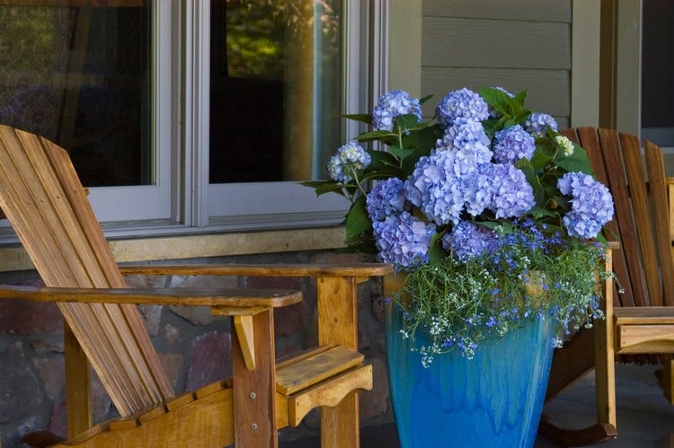 composition-jardinière-été-géraniums-bleu-pot-céramique