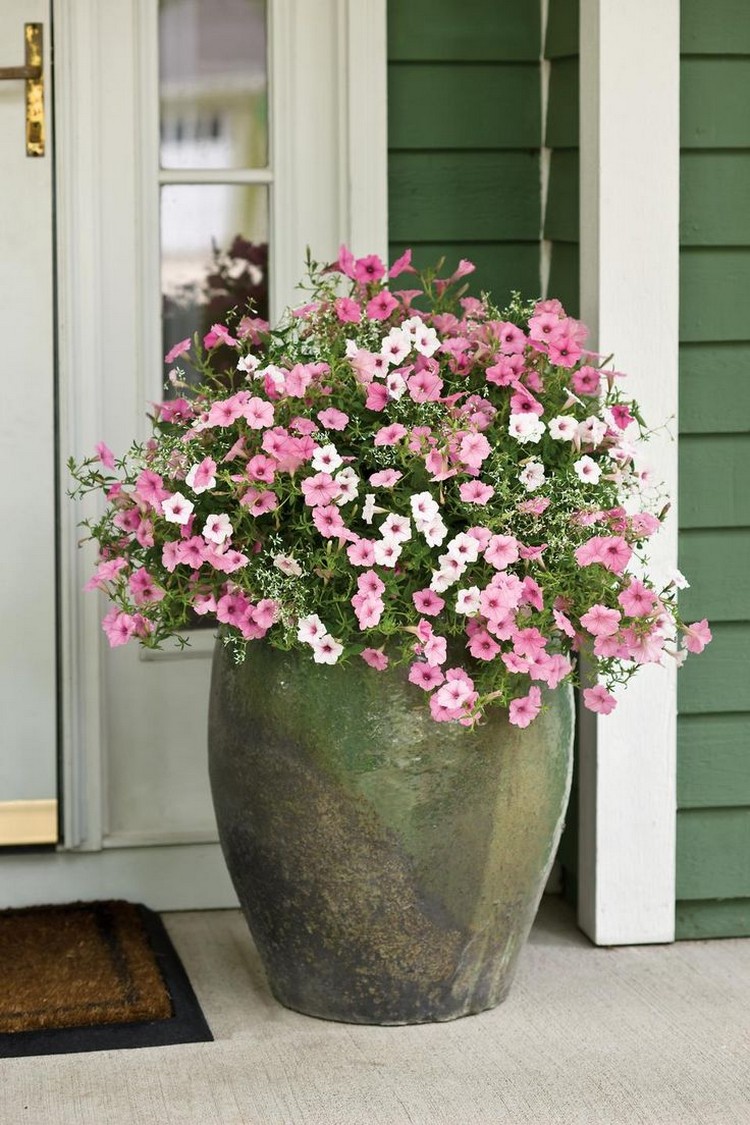 composition-jardinière-été-pétunias-rose-blanc-pot-acier-galvanisé