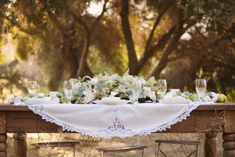 déco de table champêtre -composition-succulentes-fleurs-blanches-nappe-blanche-dentelle