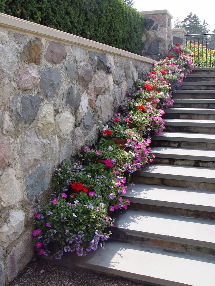 escalier-jardin-marches-pierre-décorées-fleurs-pots