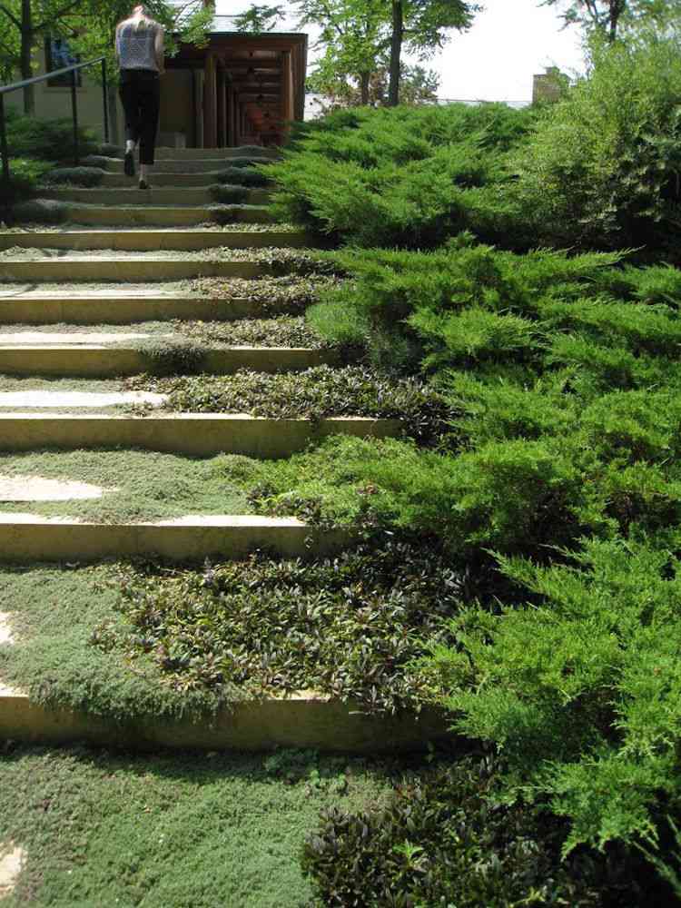 Escalier de jardin à faire soi même en 47 idées de conception Escalier décor Japonais