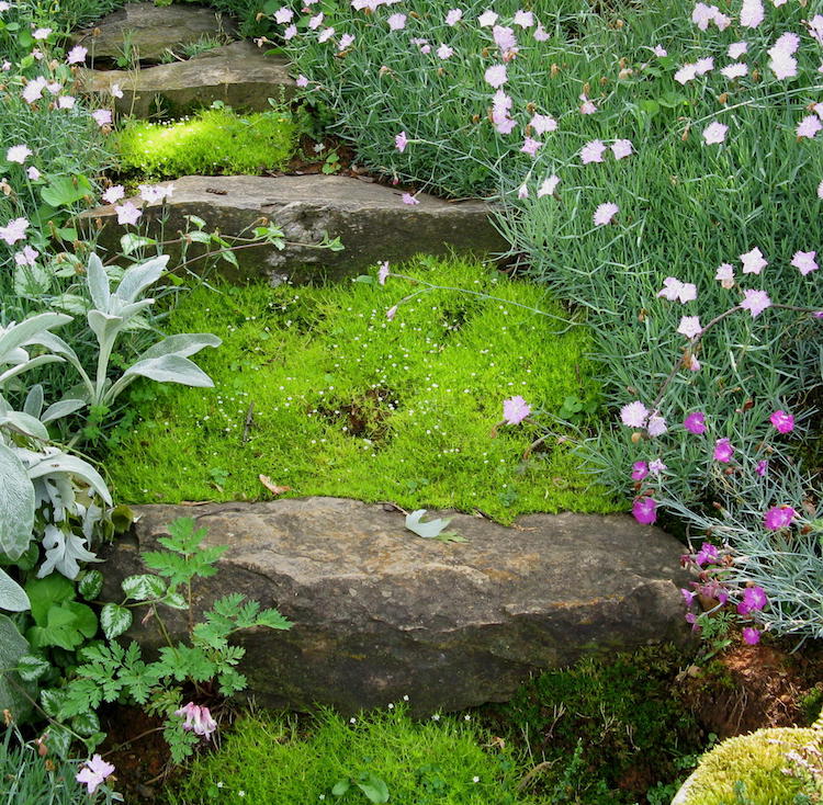 escalier-jardin-mousse-verte-naturelle-déco-végétale