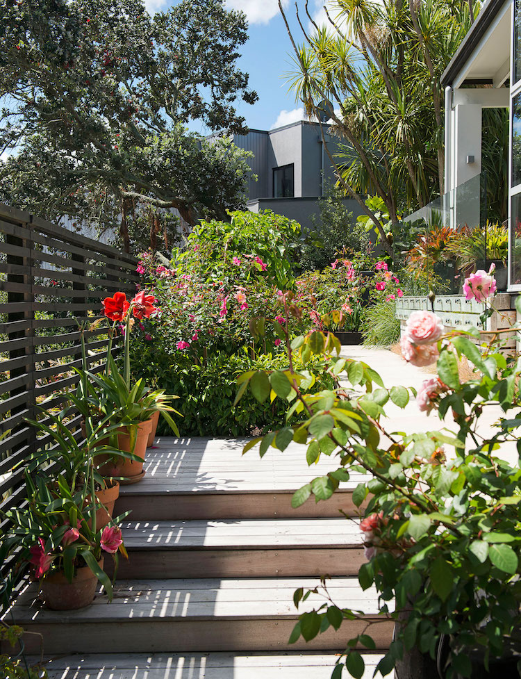 escalier-jardin-terrasse-pierre-style-méditerranéen-fleurs