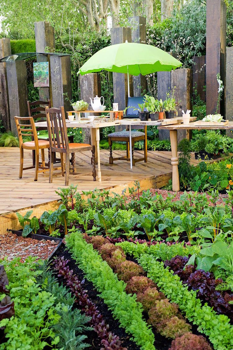 aménagement petit jardin -potager-légumes-feuilles-vertes-coin-repas-parasol