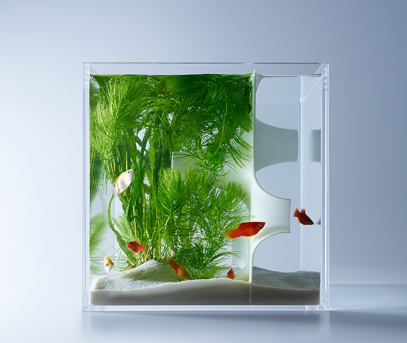 aquarium design avenir-flore-imprimée-3D-Haruka-Misawa
