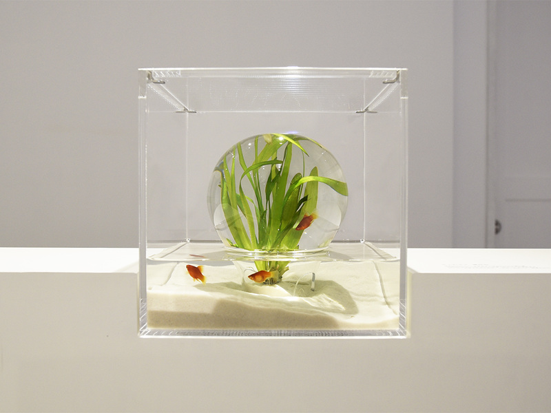 aquarium-design-boule-air-intérieur-imprimée-3D-Haruka-Misawa