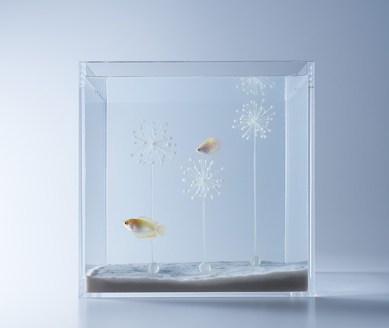 aquarium-design-fleurs-blanches-imprimées-3D-Haruka-Misawa