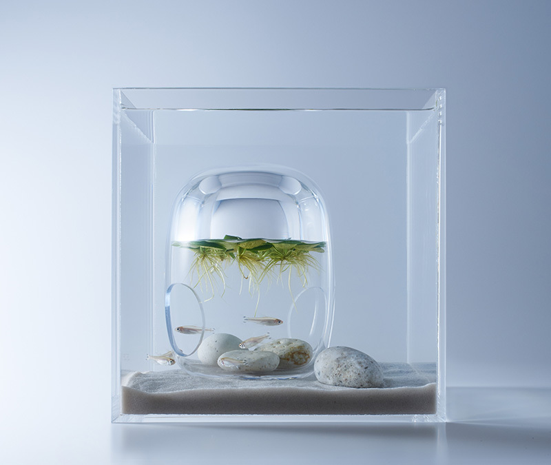 aquarium-design-futuriste-décor-imprimé-3D-Haruka-Misawa