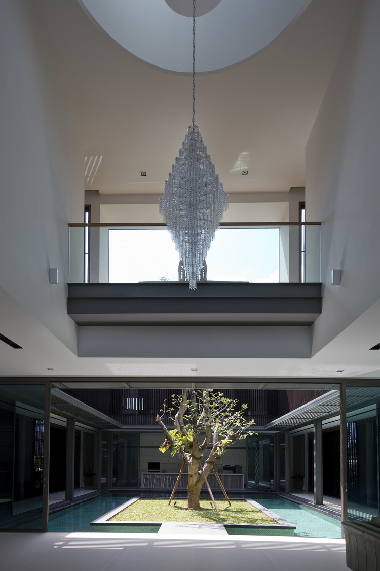 arbre-jardin-intérieur-maison-hauteur-plafond-suspension