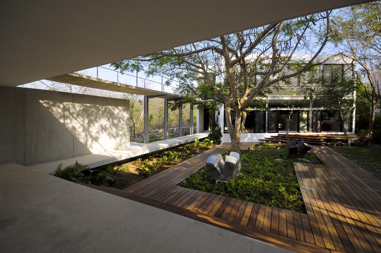 arbre-jardin-intérieur-sol-bois-massif-terrasse-moderne