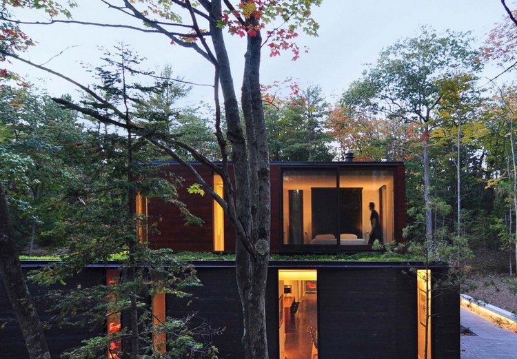 bardage-maison-bois-massif-aluminium-arbres-éclairage-led