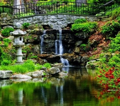 cascade bassin de jardin