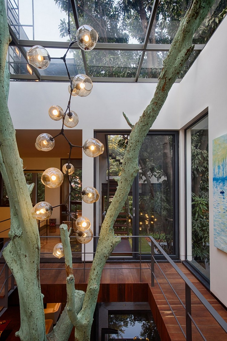 dallage-grait-plafond-verre-ciel-puits-lumière-suspension-arbre