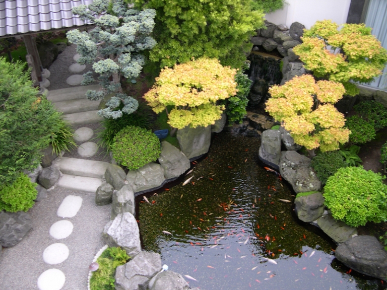 décoration jardin japonais allée-jardin-pas-japonais-étang-carpes-koï