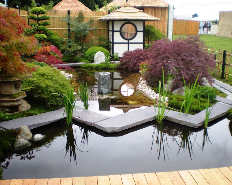 décoration jardin japonais avec piscine-naturelle-érables-nains-bonsaï