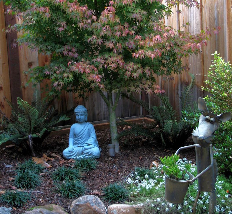 décoration jardin japonais en statuette-zen-Buddha-érable-Japon-nain