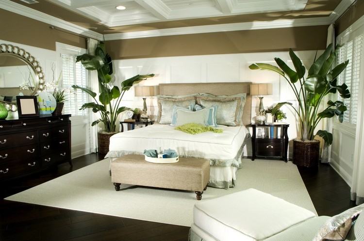 dormir-tete-nord-plafond-bois-bout-lit-plantes-exotiques