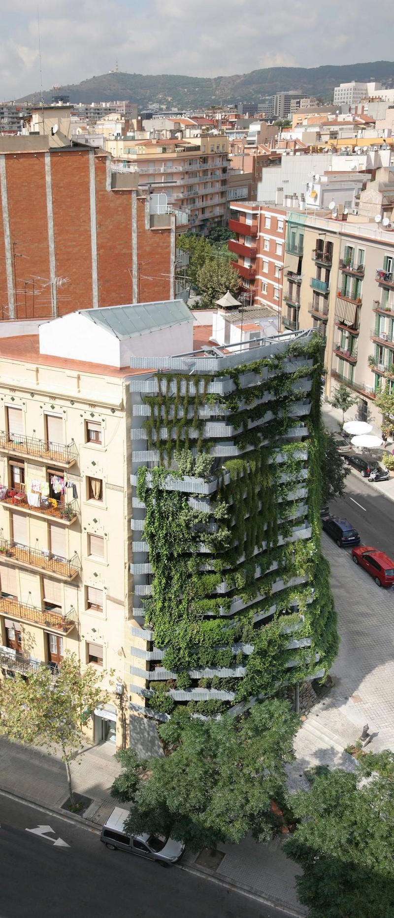 façade-végétalisée-Medianera-Verde-Barcelone-Capella-Garcia-Arquitectura