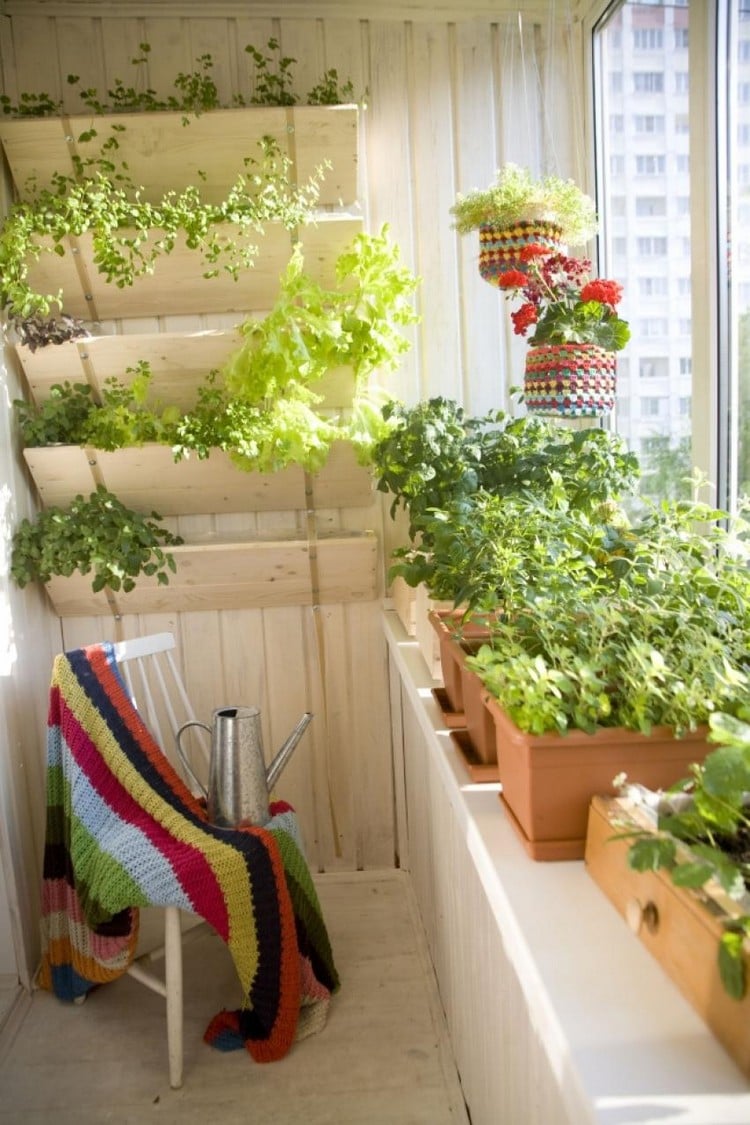 herbes-aromatiques-balcon-couvert-jardin-vertical