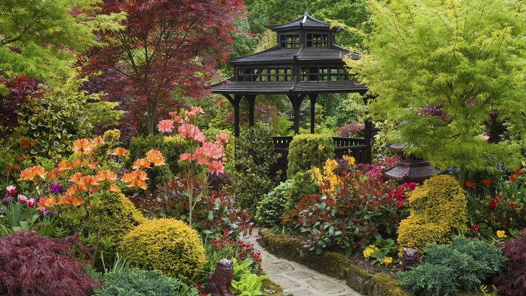 jardin japonais abri-japonais-fleurs-allée-pierre
