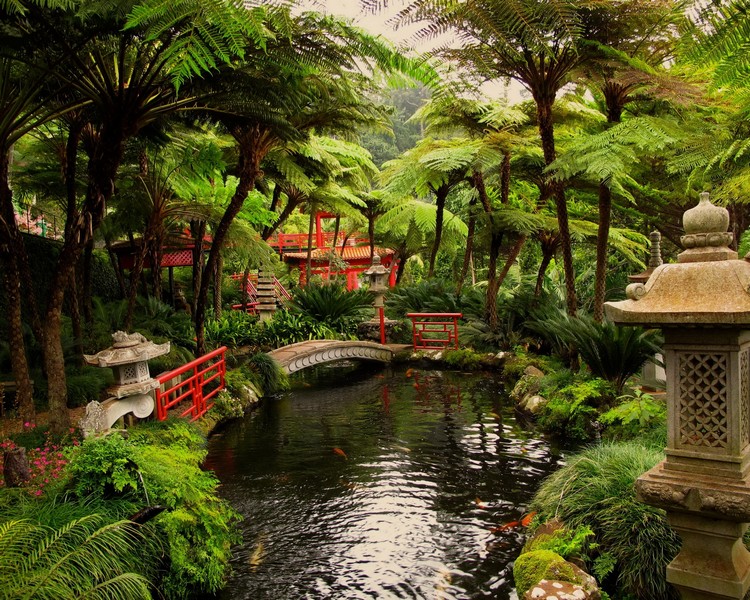 jardin-japonais-bassin-aquatique-pont-bois-rouge