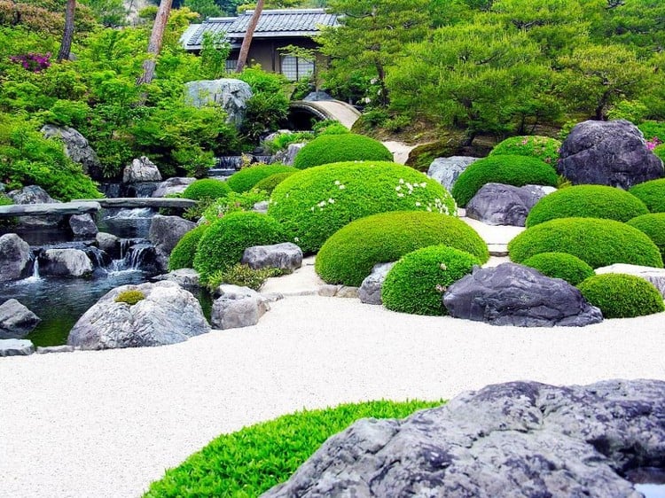 jardin-japonais-buis-boules-graviers-pierre-roches-bassin