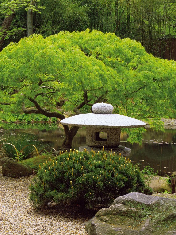 jardin-japonais-lanterne-sol-pierre-arbres