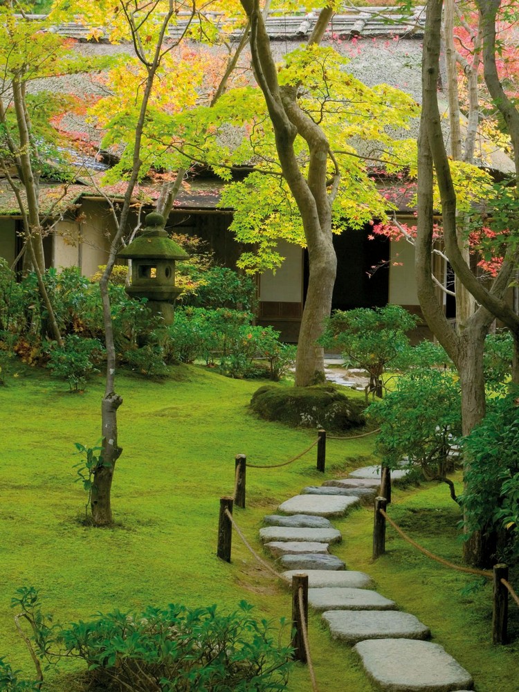 jardin-japonais-mousse-sol-pas-allée-arbres