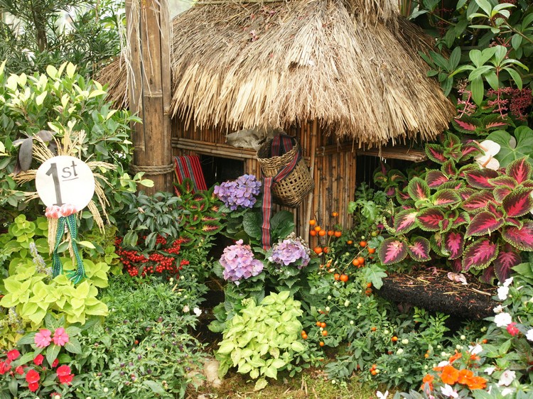 jardin-ornement-exotique-plantes-ambiance-tropicale-cabane