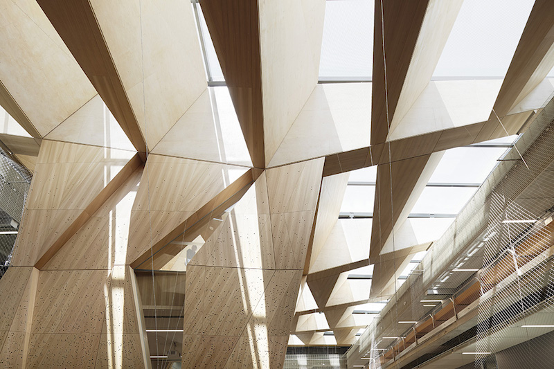 lumière-naturelle-entrant-plafond-école-design-Université-Melbourne-Photo-Roland-Halbe
