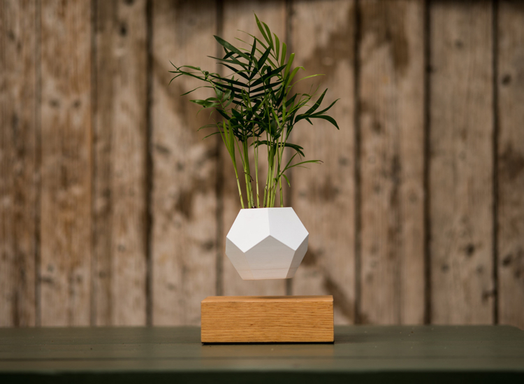 pot de fleurs design -Lyfe-Simon-Morris-base-bois