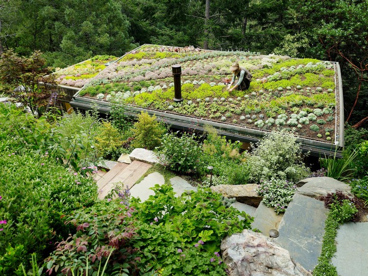 aménagement-jardin-pente-marches-pierre-toiture-végétalisée