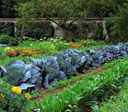 jardin en carré