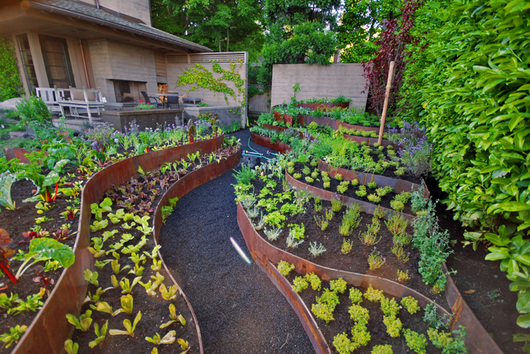 bordures de jardin -acier-corten-idée-jardin-terrasse-moderne
