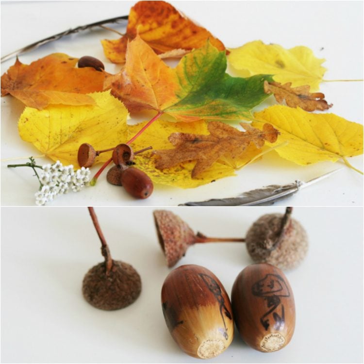 bricolage d’automne enfants-feuilles-automne-glands-projet-diy
