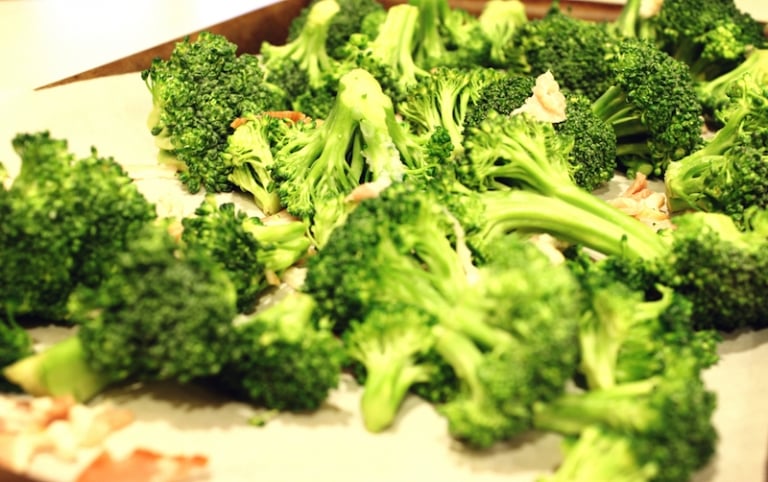 broccoli-plein-vitamines-cultiver-jardin-potager-automne