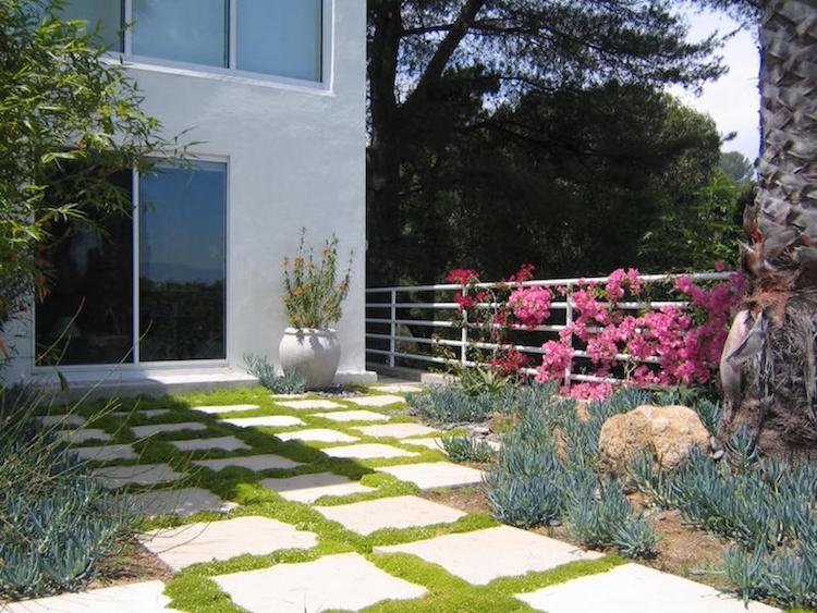 design-extérieur-dalles-terrasse-joints-végétalisés-planté-couvre-sol
