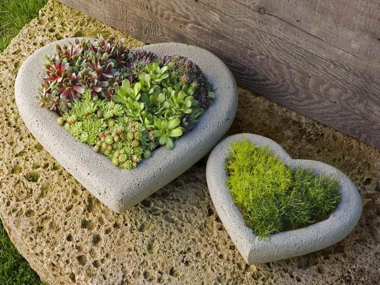 galets-pour-jardin-contants-en pierre-forme-coeur-plantes