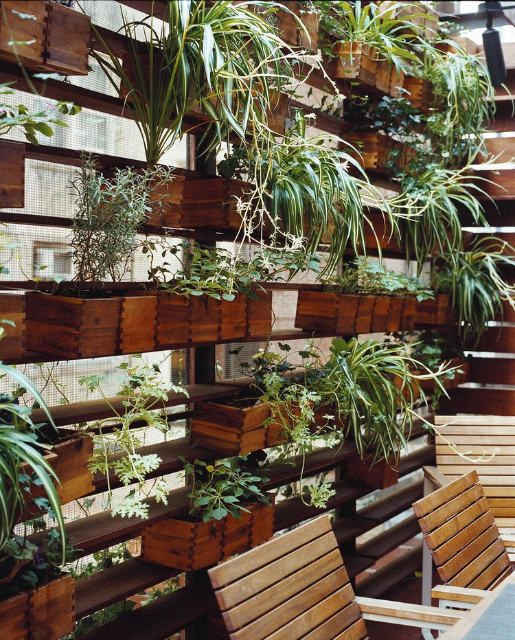 jardin-balcon-verticale-mur-végétal-jaridnières-bois