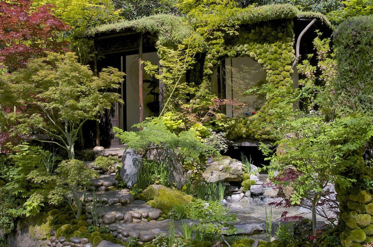 jardin contemporain chelsea-flower-show-design-exotique
