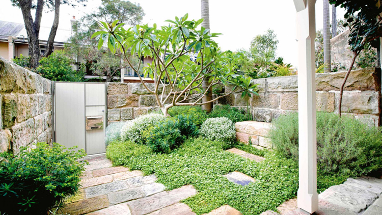 jardin design contemporain -allée-pierre-naturelle-plantes-couvre-sol