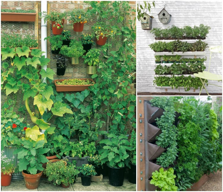 jardin-potager-vertical-idées-terrasse-jardin-balcon