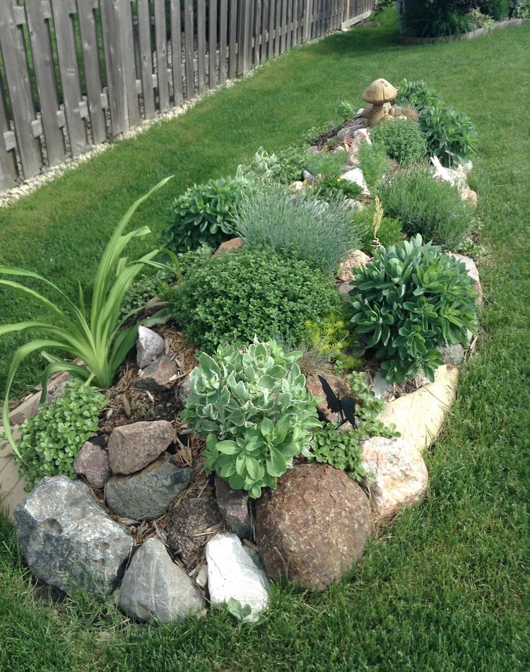 jardin-rocaille-mini-taille-idées-végétaux